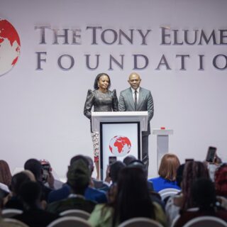 The Tony Elumelu Foundation (TEF)